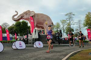 BIB: 
                            <button type="button" onclick="openModal(26529092)" class="btn btn-primary btn-sm float-right btn-popup" data-toggle="modal" data-target=".modal-high-quality">
                        <i class="fas fa-shopping-cart"></i> Add to Cart
                    </button>
                                            <button type="button" onclick="isThisMe(26529092, true)" class="btn btn-success btn-sm float-right btn-popup btn-isme hidden" data-toggle="tooltip" data-placement="bottom" title="นี่คือรูปของคุณใช่ไหม คลิกที่นี่เพื่อเอาเข้าอัลบั้ม">
                        <i class="fas fa-plus"></i> Add to album
                    </button>
                    <button type="button" onclick="isThisMe(26529092, false)" class="btn btn-warning btn-sm float-right btn-popup btn-isnotme hidden">
                        <i class="fas fa-ban"></i> Remove from album
                    </button>